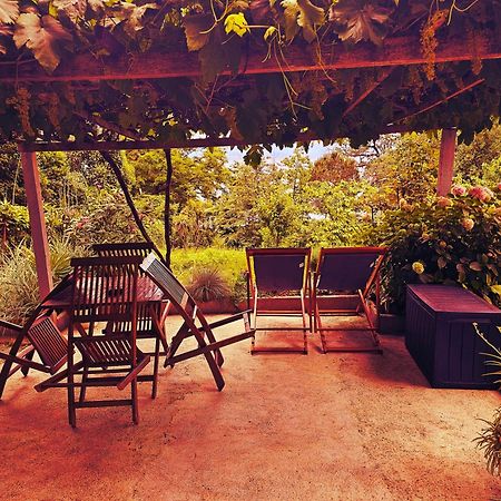 Studio Apartman Villa Gianna Lovran Dış mekan fotoğraf