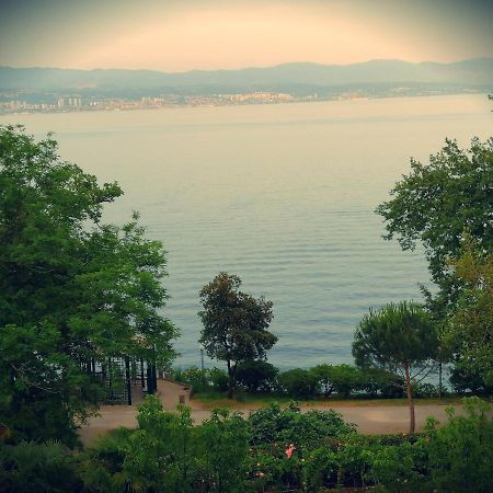 Studio Apartman Villa Gianna Lovran Dış mekan fotoğraf