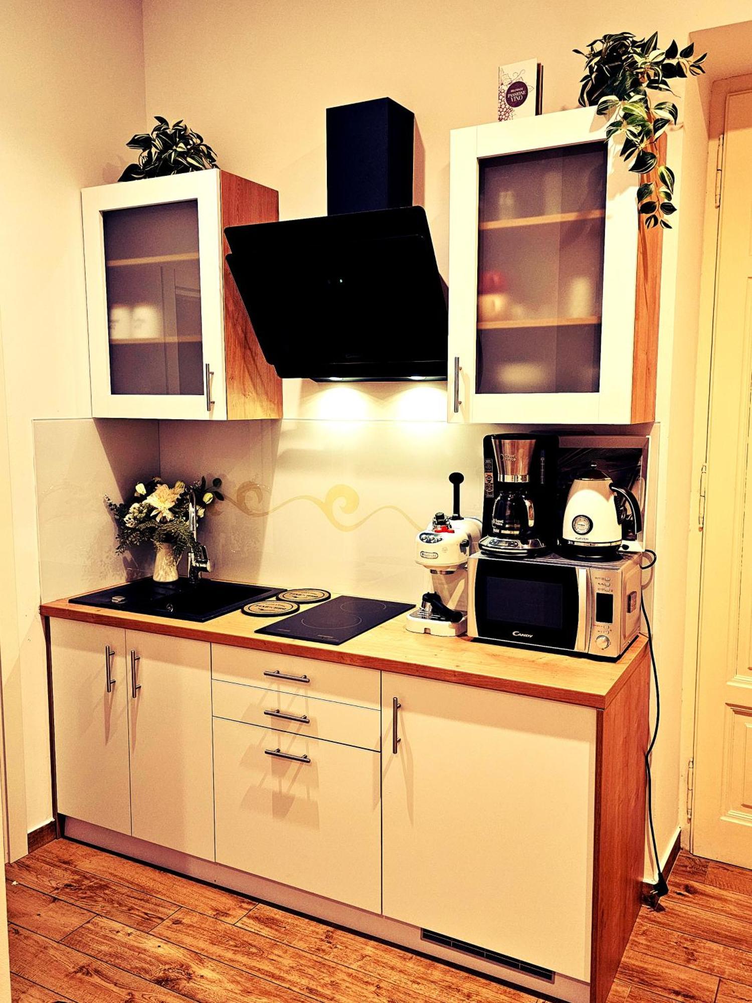 Studio Apartman Villa Gianna Lovran Dış mekan fotoğraf