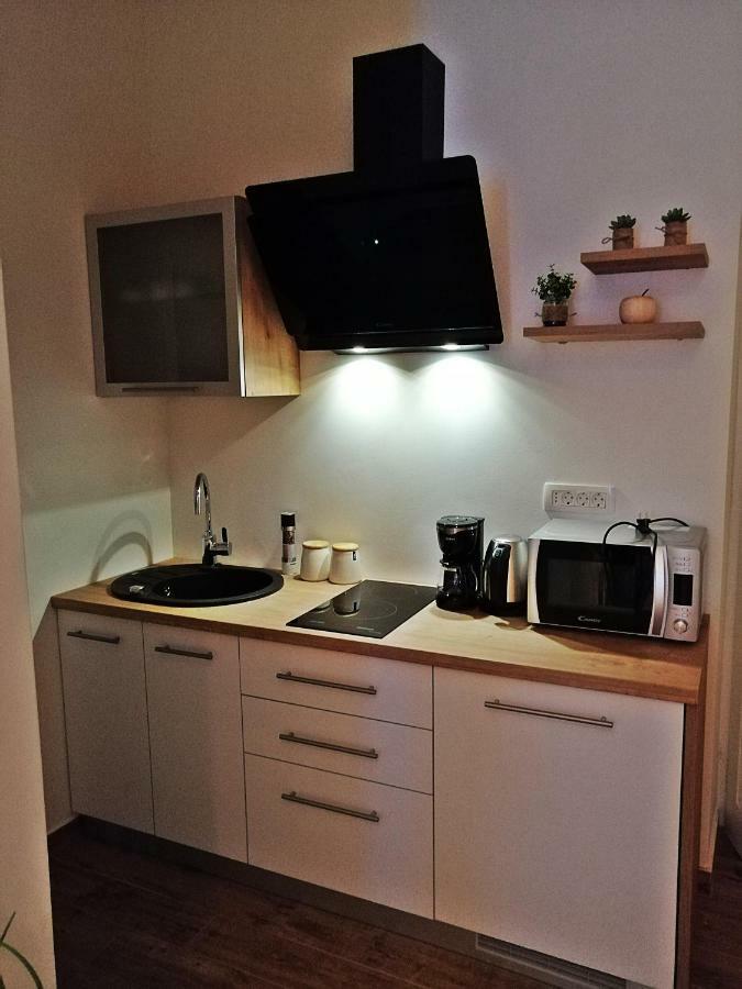 Studio Apartman Villa Gianna Lovran Dış mekan fotoğraf