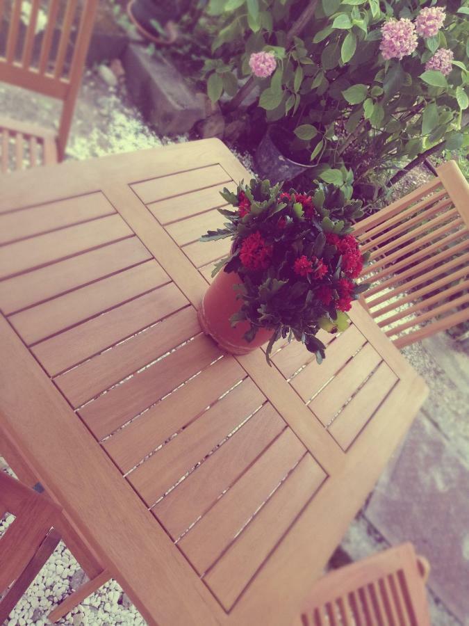 Studio Apartman Villa Gianna Lovran Dış mekan fotoğraf